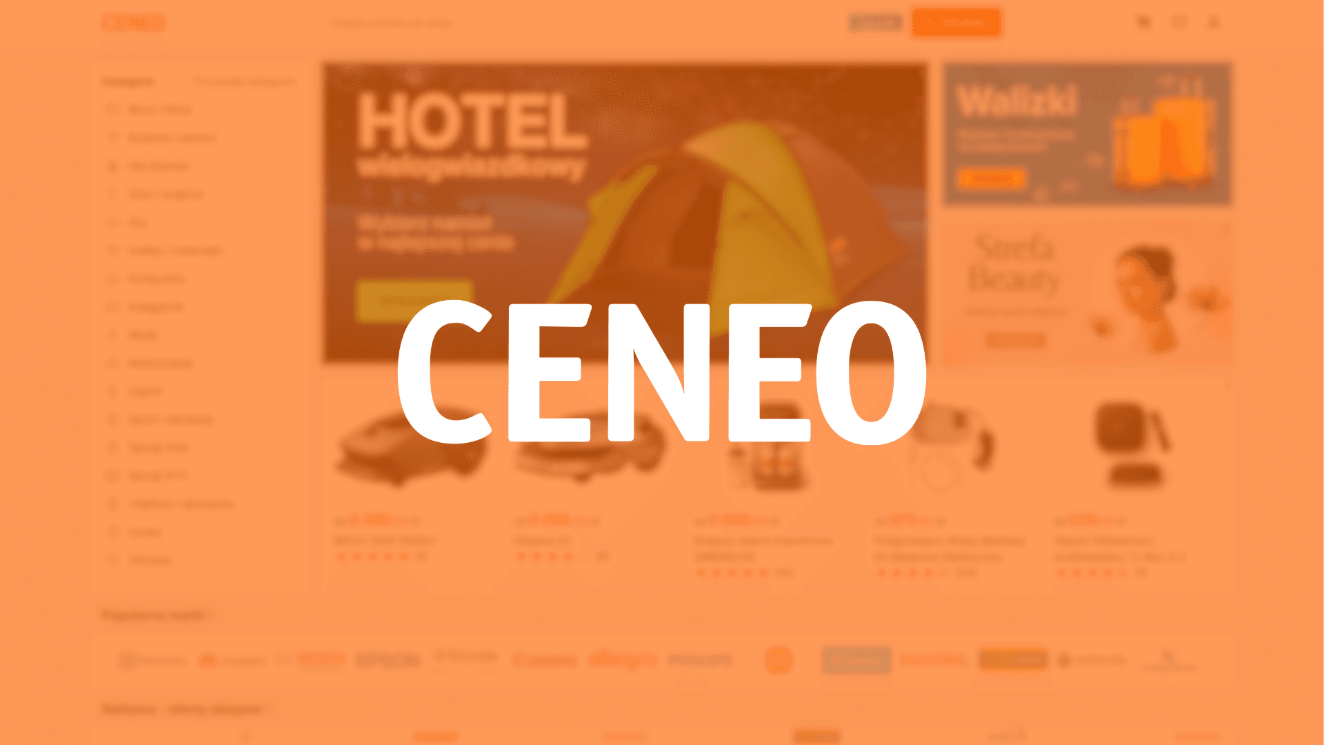 Tu billete al mundo del e-commerce: cómo vender en Ceneo con beneficio