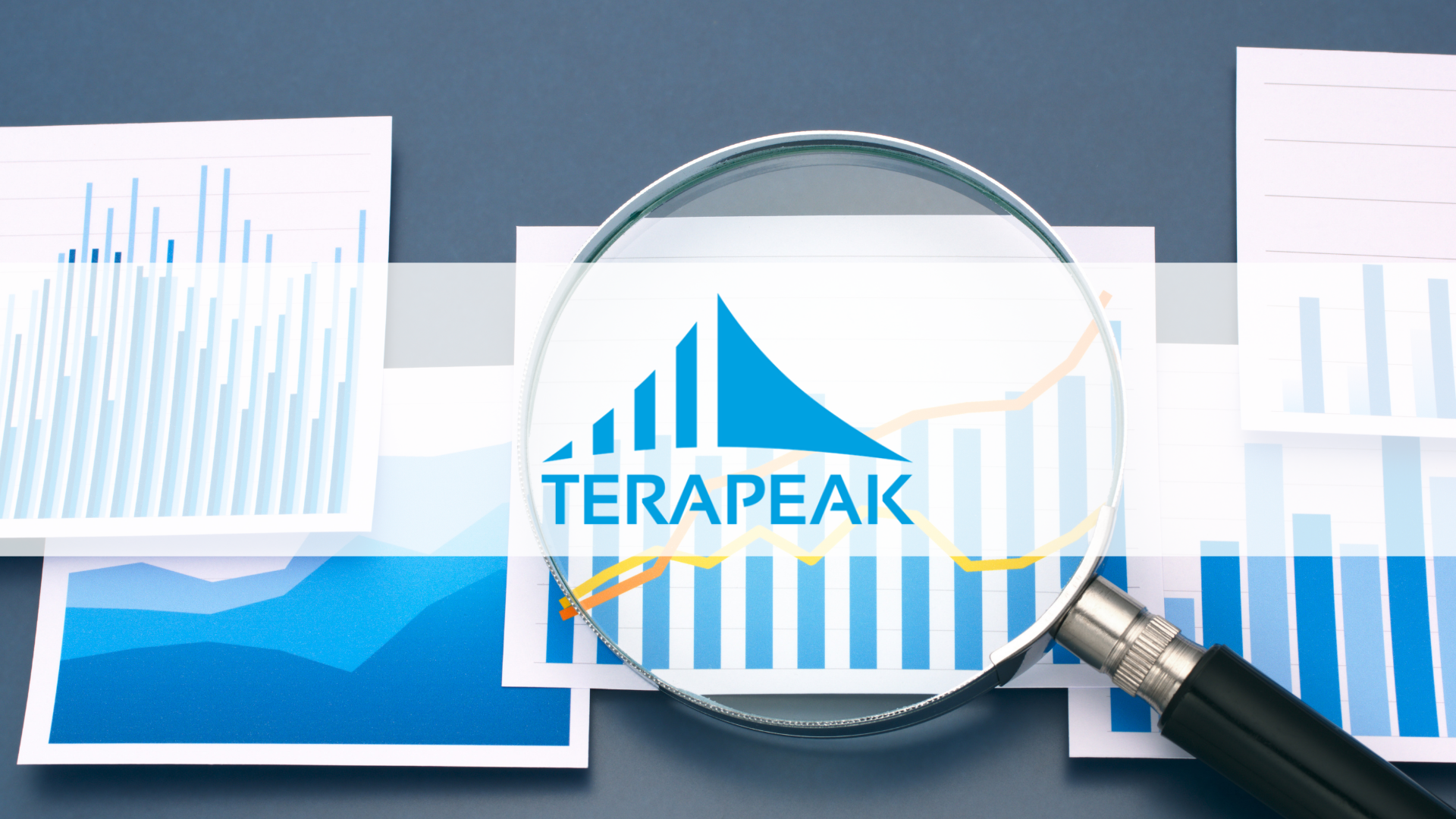 Logo de Terapeak dentro de una lupa sobre gráficos de barras y líneas de tendencia – análisis de la demanda en eBay