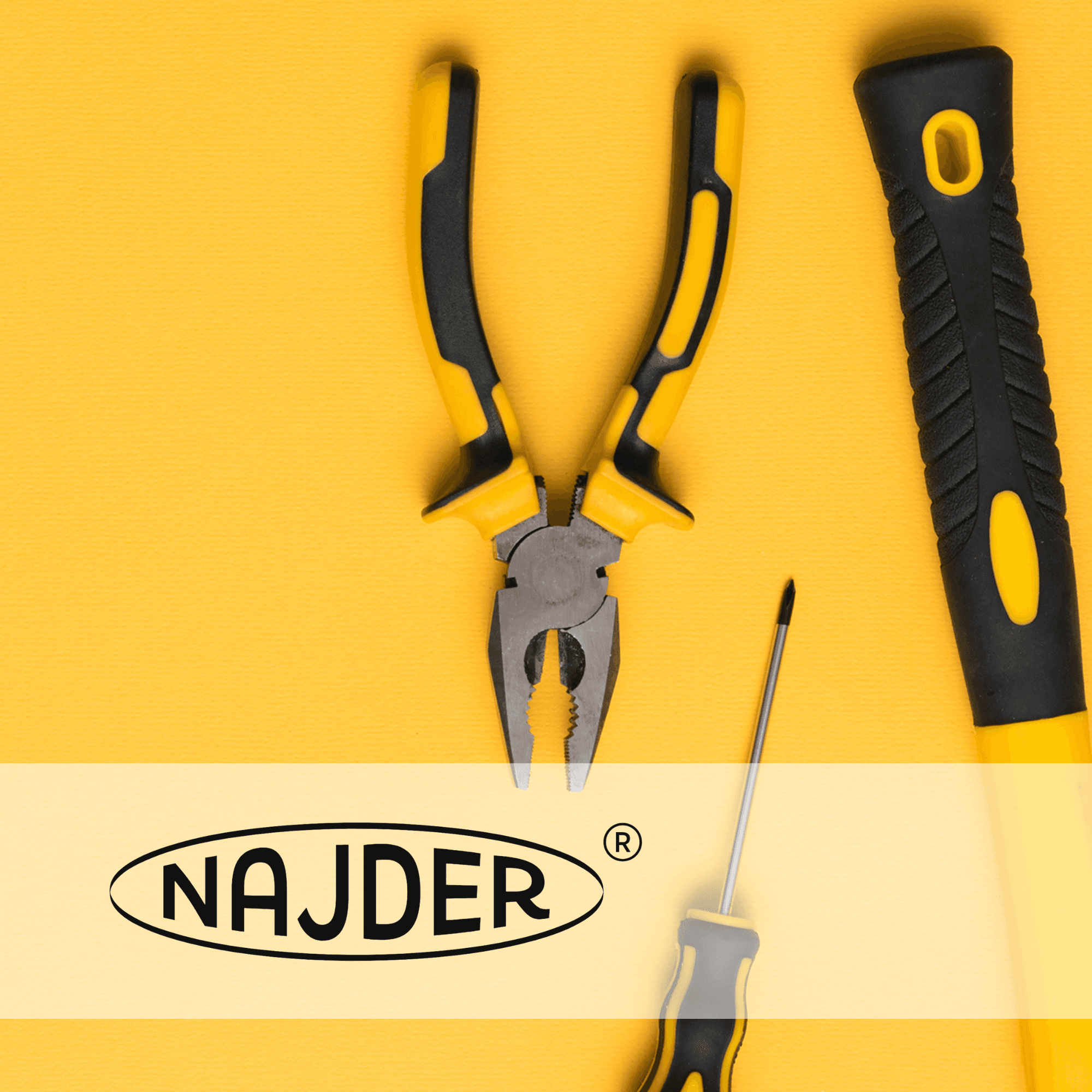 Najder | Caso de Estudio Raise Your Sales